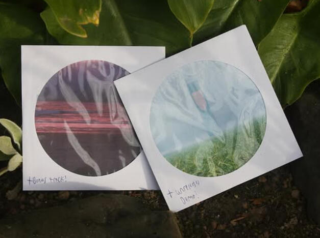 CDs